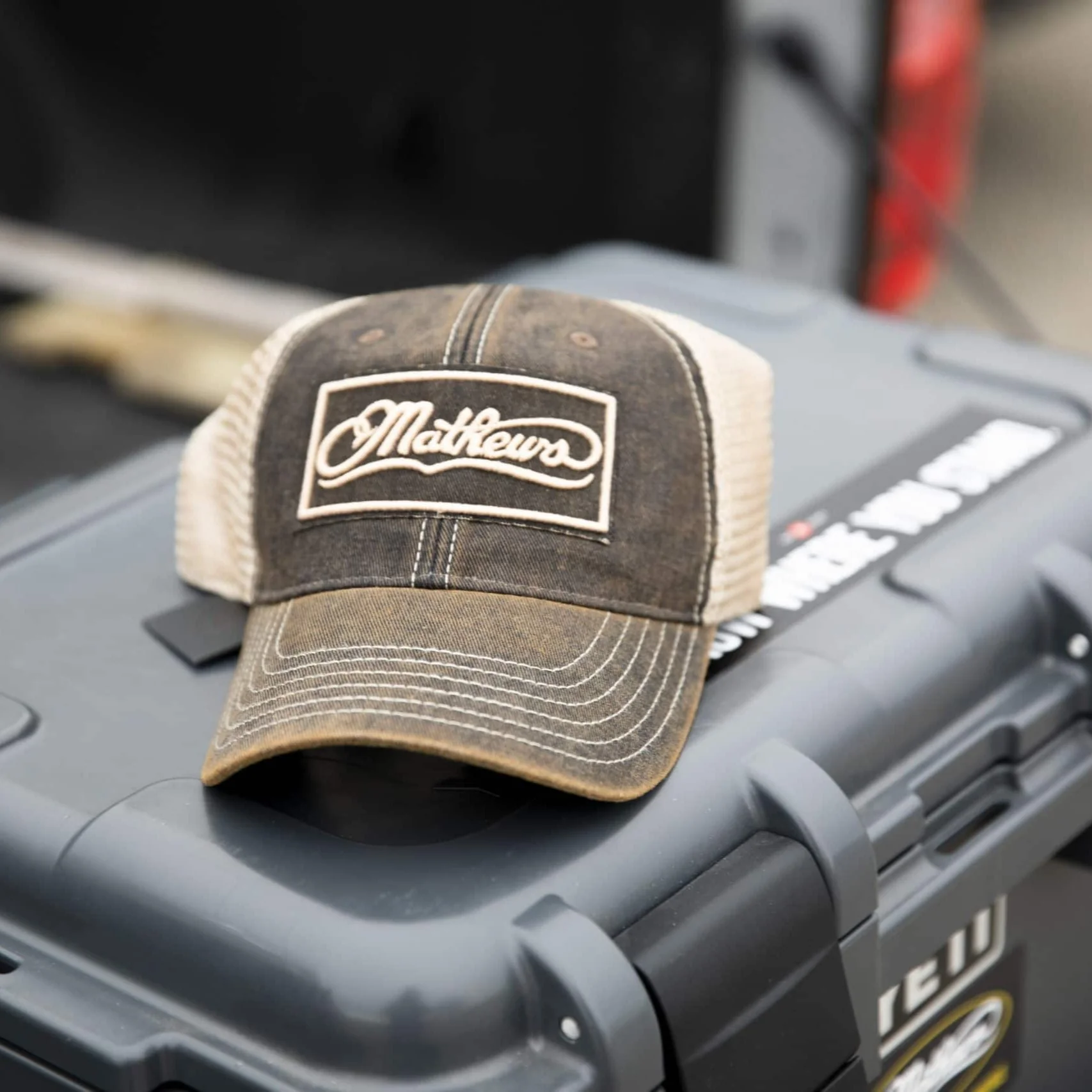Established Cap - Image 2